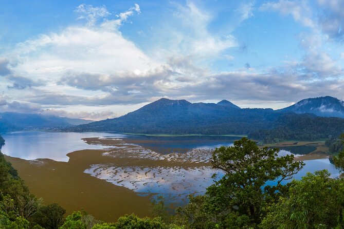 Bali : Dolphin Sunrise Experience Tour Private All Inclusive - Aling-Aling Waterfall: jungle time and a 40-meter drop