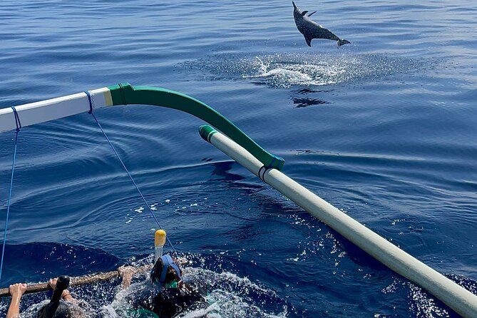 Bali : Dolphin Sunrise Experience Tour Private All Inclusive - Optional Luwus coffee stop for a slower North Bali moment
