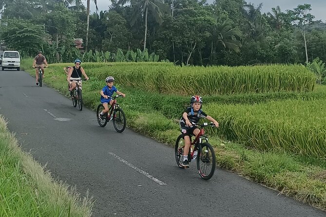 Bali Downhill Natural Cycling Tour & visit Volcano - Getting your bike ready at Balai Desa Pekraman Pukuh