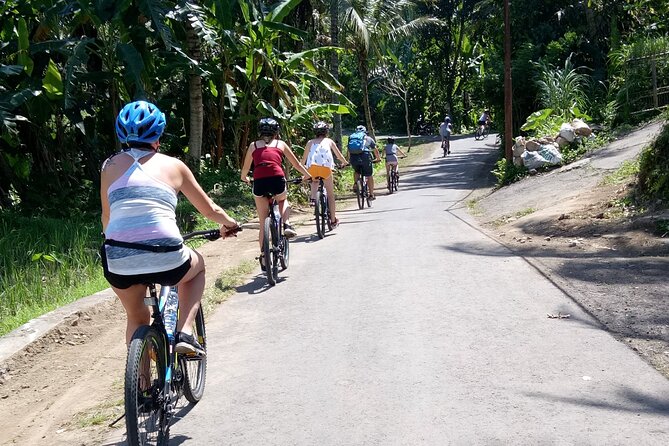 Bali Downhill Natural Cycling Tour & visit Volcano - Safety, bike condition, and comfort you should watch for