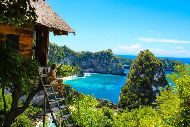 Bali East Nusa Penida Private Tour - All Inclusive - Price and what you actually get for $85