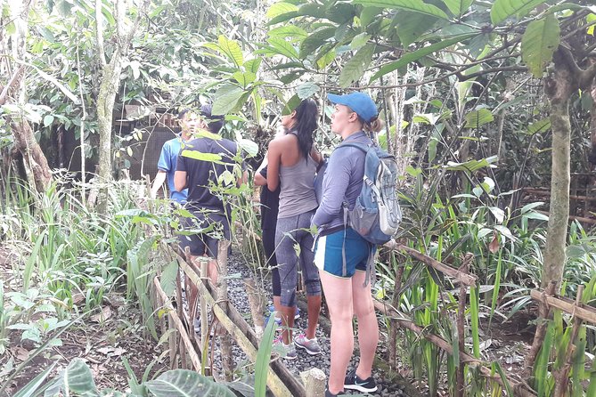 Bali Eco & Educational Cycling Tour - Lunch, snacks, and a coffee break that keep the day enjoyable