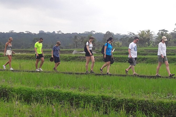 Bali Eco & Educational Cycling Tour - Safety and family-friendly biking with baby seats