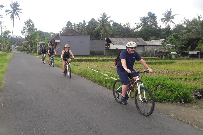 Bali Eco & Educational Cycling Tour - Price and value: what $48.87 includes and why it can be a good deal