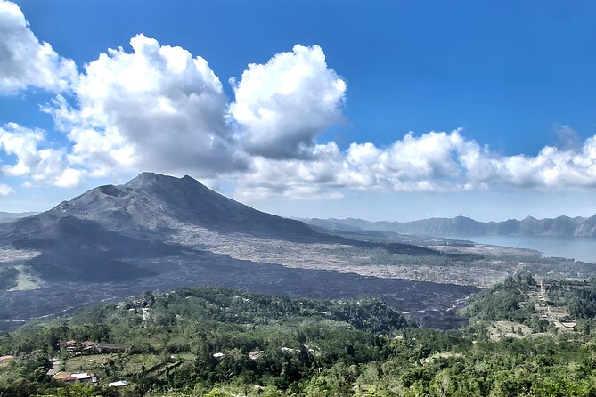 Bali Full-Day Car Charter: Ubud and Kintamani Volcano Tour - Ubud Art Market: shopping without losing your day