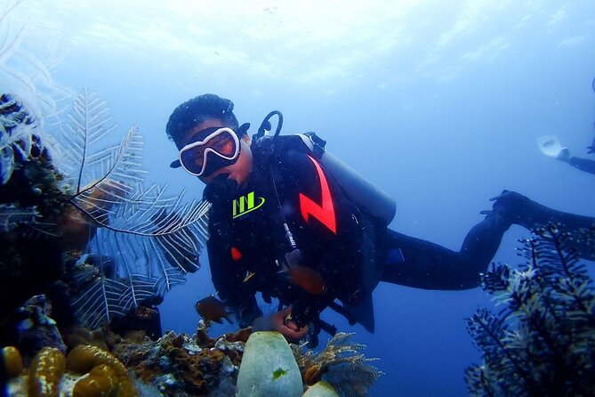 Bali Full Day Experience Scuba Diving Tour at Tulamben - Key things to know before you go