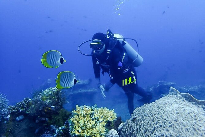 Bali Full Day Experience Scuba Diving Tour at Tulamben - Stop 2: Tulamben Beach, the reset that keeps you from burning out
