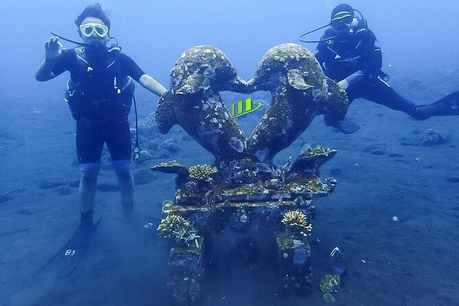 Bali Full Day Experience Scuba Diving Tour at Tulamben - Stop 3: Tulamben reef habitat, coral garden or wall-coral