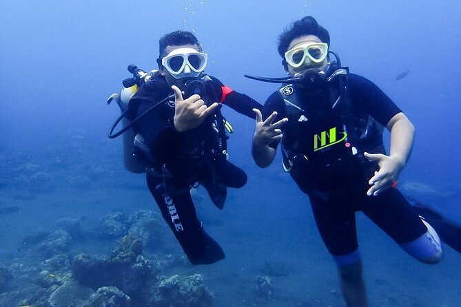 Bali Full Day Experience Scuba Diving Tour at Tulamben - Why the PADI-certified local instructors and small group ratio matter