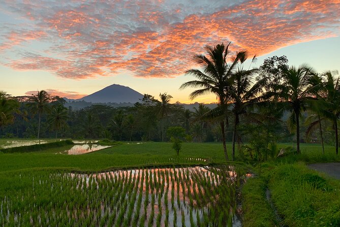 Bali Full Day Photography Tour - Private photo tours and longer options for your schedule