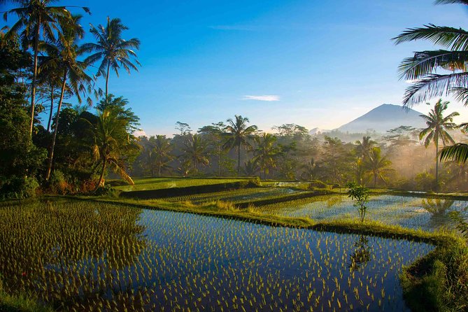 Bali Full Day Photography Tour - Tirta Empul purification, photographing a place with real meaning