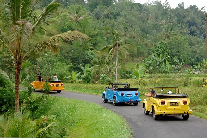 Bali Full-Day The Gate of Heaven Tour by VW Safari Classic Car - Virgin Beach: a quieter stretch when you want less pressure