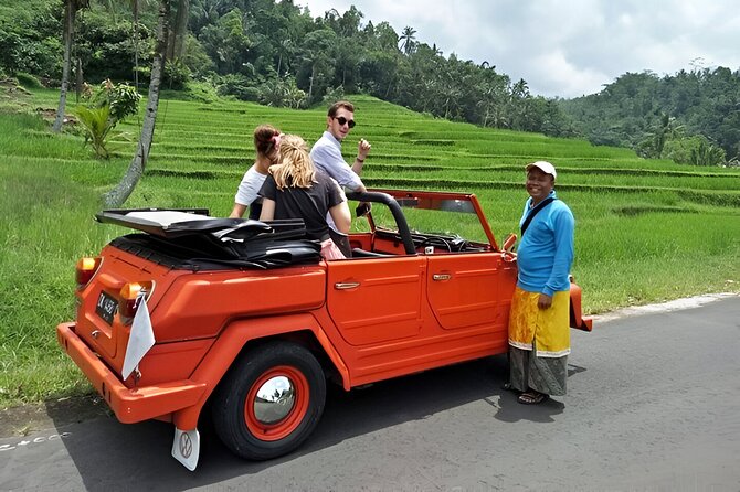 Bali Full-Day The Gate of Heaven Tour by VW Safari Classic Car - Tenganan Ancient Village: Bali Aga life behind walled homes