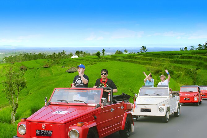 Bali Full-Day The Gate of Heaven Tour by VW Safari Classic Car - What’s included, and how that affects value