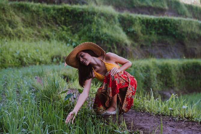 Bali Full Day Tour: Highlights of Ubud and Hidden Waterfall - Sacred Monkey Forest Sanctuary: a fun start with real monkey rules