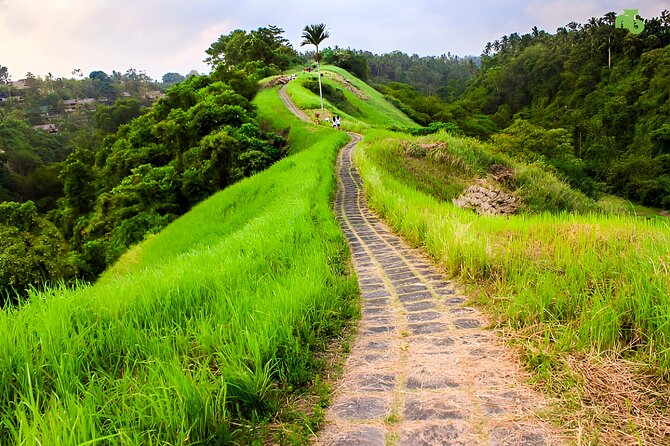 Bali Full Day-Tour: Ubud Sightseeing Trip - Entering The Loop Around Ubud, from Seminyak to Everywhere