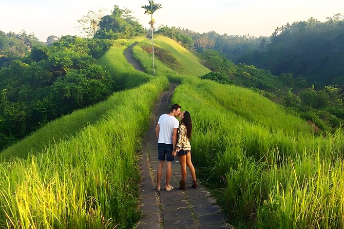 Bali Full Day-Tour: Ubud Sightseeing Trip - Tegenungan Waterfall: the big finish after temples and terraces