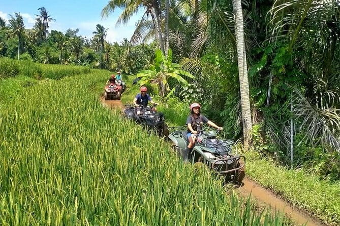 Bali Full-Day Tours : Waterfall and Ubud Destination Trip - Goa Gajah Temple (Elephant Cave), the cool pause