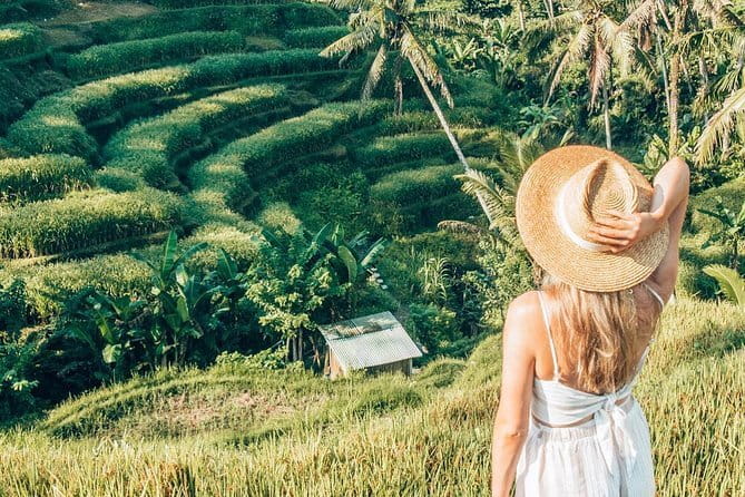Bali Full-Day Tours : Waterfall and Ubud Destination Trip - Ubud Royal Palace (Puri Saren Ubud), then a free stop inside the tour