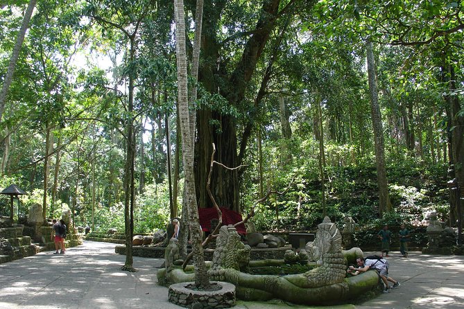 Bali Full-Day Traditional Village Sightseeing Trip All Inclusive - Tegunungan Waterfall: the classic photo stop with a short timeline