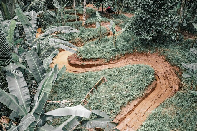 Bali: Gorilla Face ATV Bali Ubud Adventure with Lunch - Who Should Book This ATV Ubud Adventure