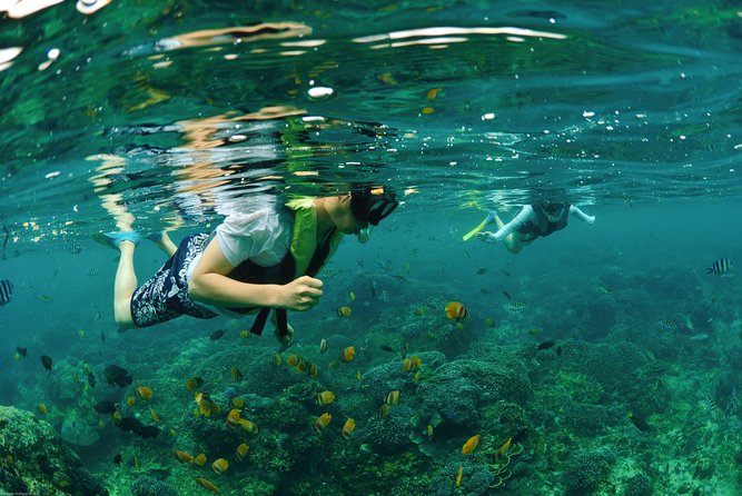 Bali Hai - Reef Cruise - Snorkeling and reef viewing, without getting stuck in one mode