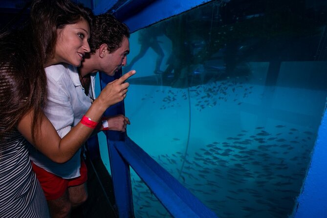 Bali Hai - Reef Cruise - The meaning layer: coral reef restoration and a village visit