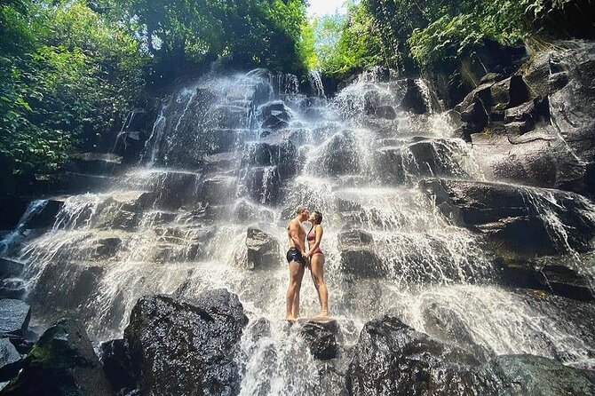 Bali Half Day Trip : All-Inclusive and Private Guided Tour - Sacred Monkey Forest Sanctuary: 700 long-tailed macaques, up close