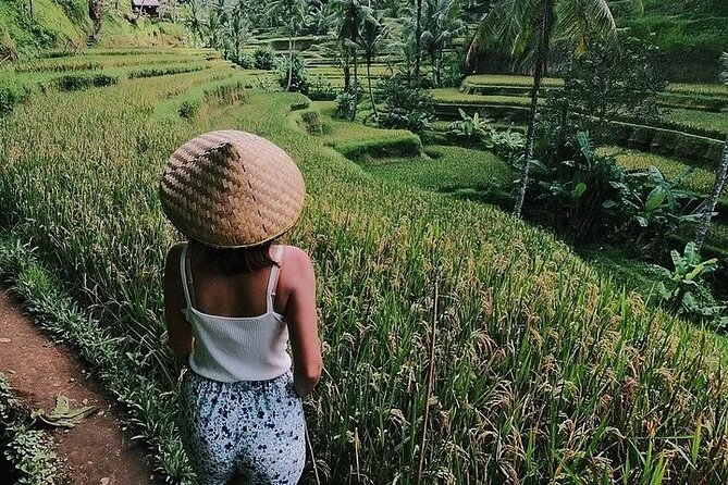 Bali Half Day Trip : All-Inclusive and Private Guided Tour - Tegenungan Waterfall: big water, cool spray, and simple timing
