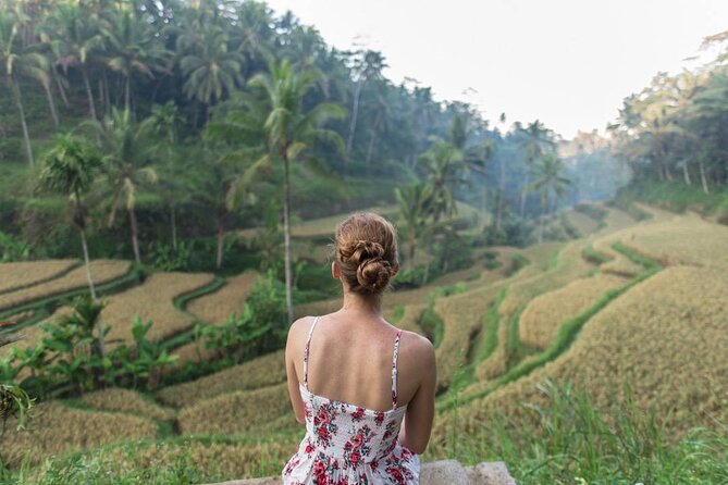 Bali Half Day Trip : All-Inclusive and Private Guided Tour - What you get for $49: the value is the “less planning” factor
