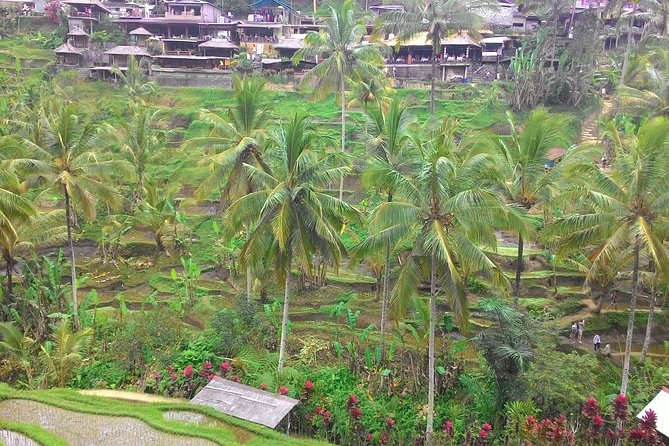 Bali Hindu temple, Rice terrace, Waterfall -All Inclusive - Stop 1: Bali Charm Day Tours Meet-Up and Ticket Time