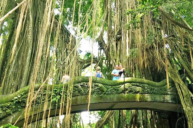 Bali Holy Bathing Ritual and Ubud Highlights tour - Tirta Empul holy bathing ritual: how to be ready