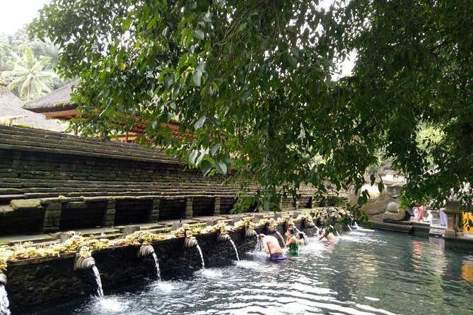 Bali Holy Bathing Ritual and Ubud Highlights tour - Tegalalang rice terrace: photos, walking, and perspective