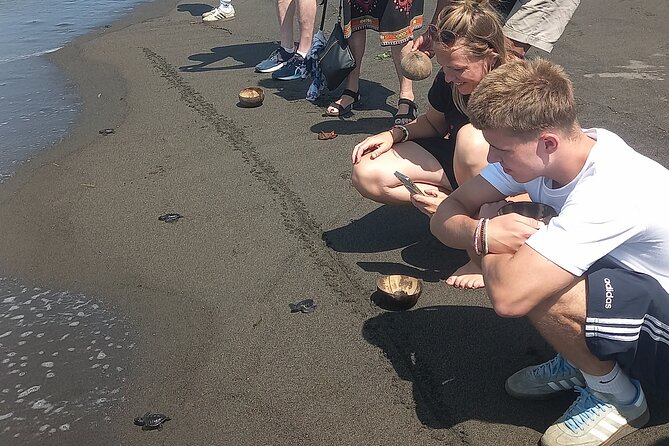 Bali Horse Riding and Turtle Release at Saba Beach - Price and what your $64 covers, including include vs exclude choices