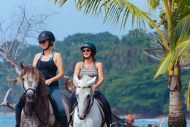 Bali Horse Riding in Saba Bay for 1 Hour with Pick Up Service - Your Horse and the Human Team Behind It