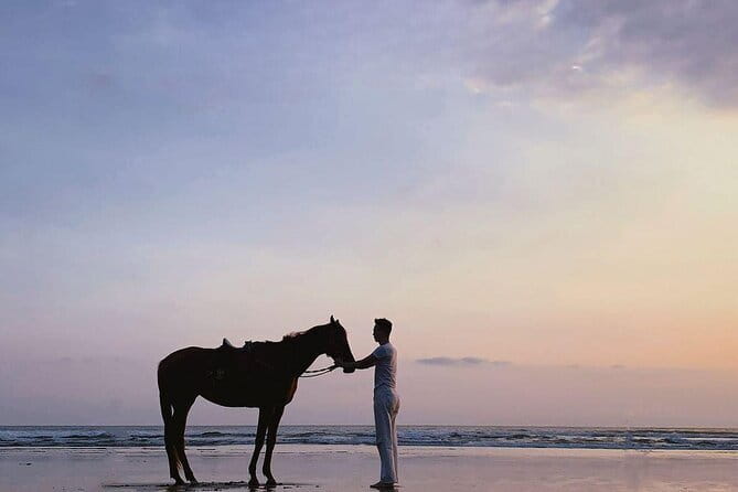 Bali Horse Riding Sanur Beach include Transport - Tangtu Beach finish: the coastal payoff