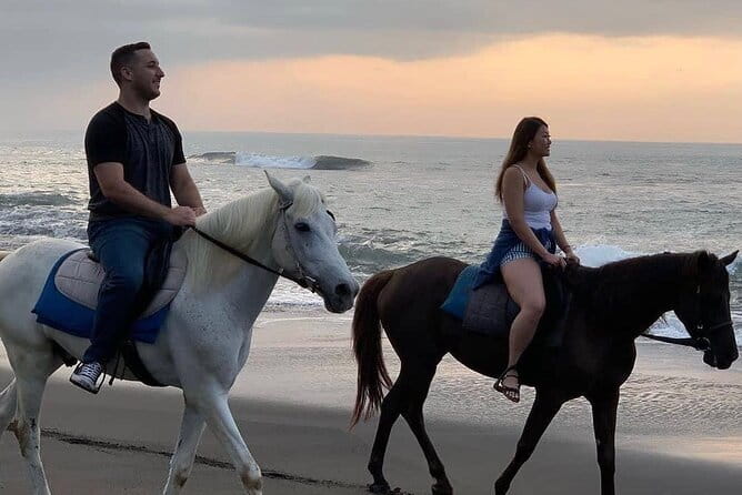 Bali Horse Riding Seminyak Beach Experience Private Transport - The Seminyak Beach Horseback Experience at a Glance