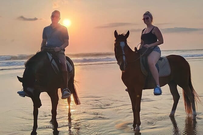 Bali Horse Riding Seminyak Beach Experience Private Transport - Mesari Stables to the sand: what happens before you ride