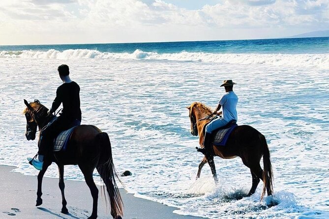Bali Horse Riding Trot & Canter Saba Beach with Local Temple - Why Saba Beach’s Black Sand Makes This Ride Feel Different