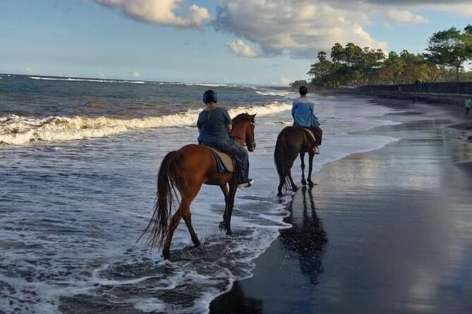 Bali Horse Riding Trot & Canter Saba Beach with Local Temple - Price and Value: Is $39 Really a Good Deal?