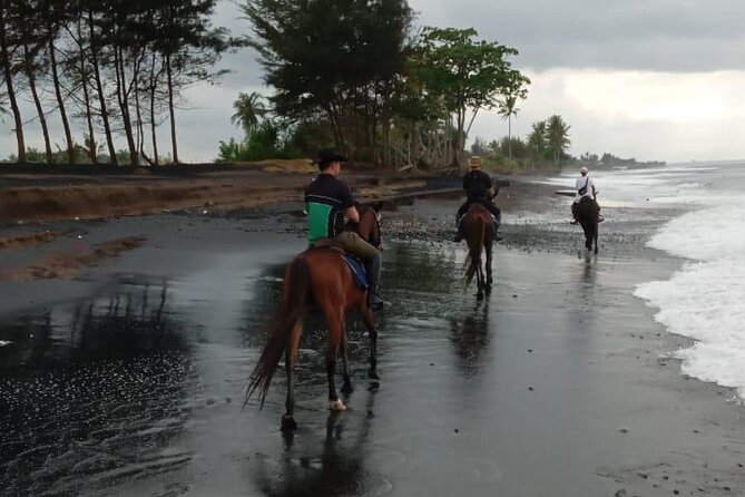 Bali Horse Riding Trot & Canter Saba Beach with Local Temple - Who This Is Best For (And Who Should Think Twice)