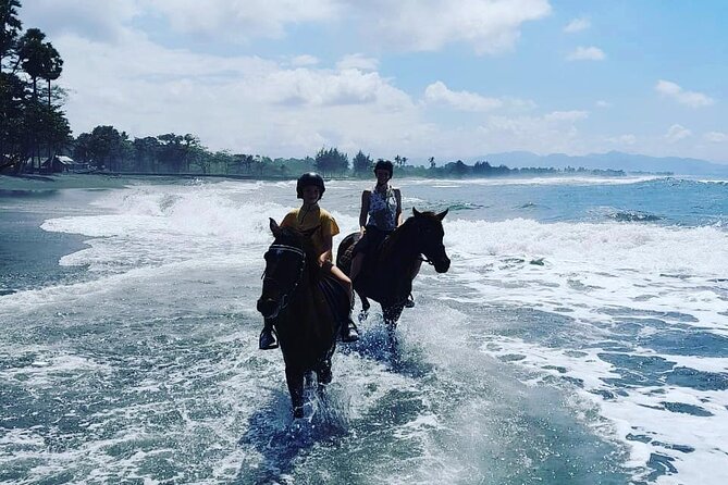 Bali Horse Riding Trot & Canter Saba Beach with Local Temple - The Horses, the Handlers, and How the Ride Stays Comfortable