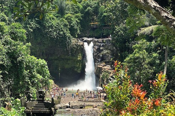 Bali Iconic Tour with Buffet Lunch and Attraction Tickets - Stop 5: Tegalalang Rice Terrace, farmers, cliffs, and coconuts