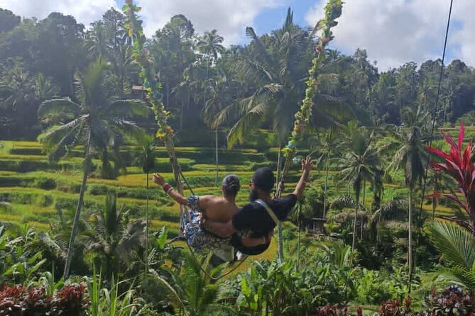 Bali in 1-Day : Rice Terrace, Volcano, Tanah lot - All Inclusive - Tegalalang Rice Terrace: where your camera gets a workout