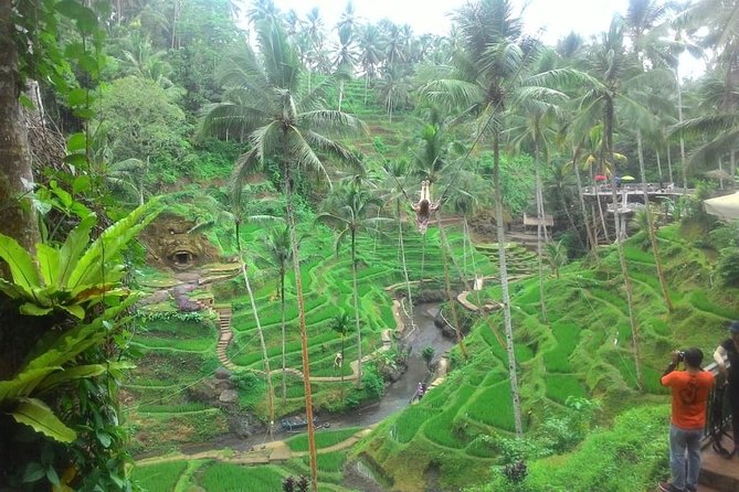 Bali in 1-Day : Rice Terrace, Volcano, Tanah lot - All Inclusive - Uma Pakel Agro Tourism: coffee and chocolate without the hard sell