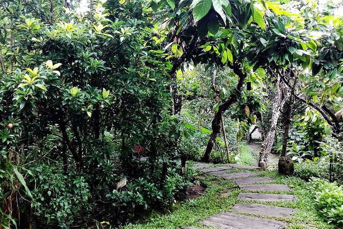 Bali in 1-Day : Rice Terrace, Volcano, Tanah lot - All Inclusive - Celuk Village and arts stops: shop gently, ask questions, skip pressure