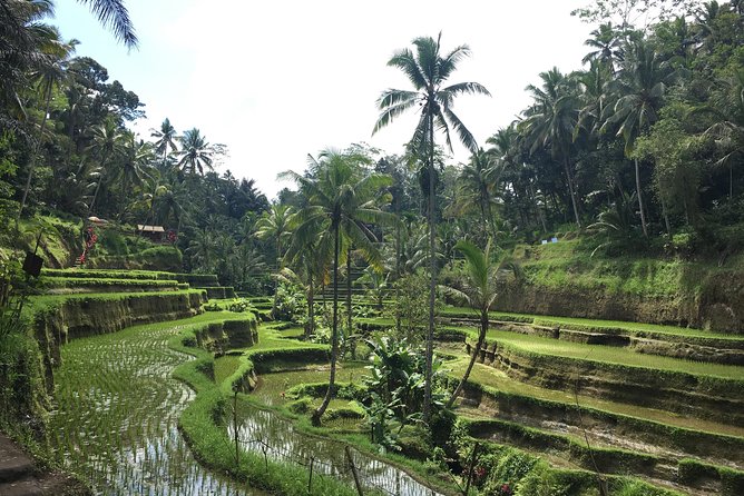 Bali Individual Route With Private English Speaking Driver - Price and Value: What $32.83 Buys You in Bali
