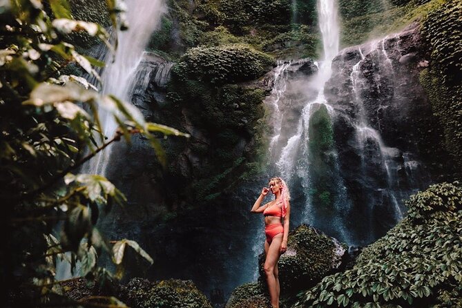 Bali Individual Route With Private English Speaking Driver - Who This Private Tour Fits Best