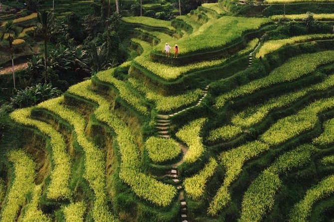 Bali Instagram Tour - All Inclusive - The pre-dawn strategy at Lempuyang Temple (Gate of Heaven)