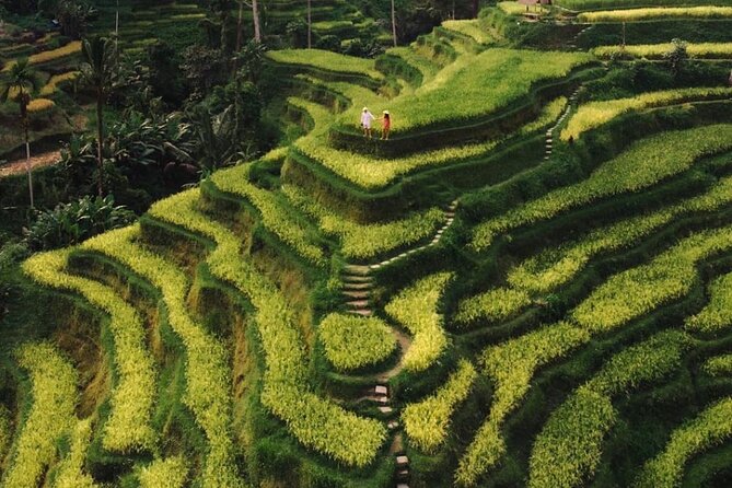 Bali Instagram Tour - All Inclusive - Optional Aloha Ubud Swing: fun extras, separate cost